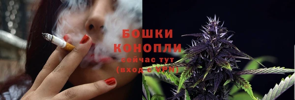 сатива Бугульма