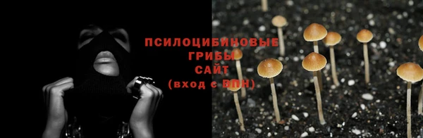 сатива Бугульма