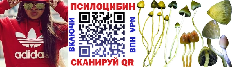 Купить  Красноармейск  Галлюциногенные грибы мицелий 
